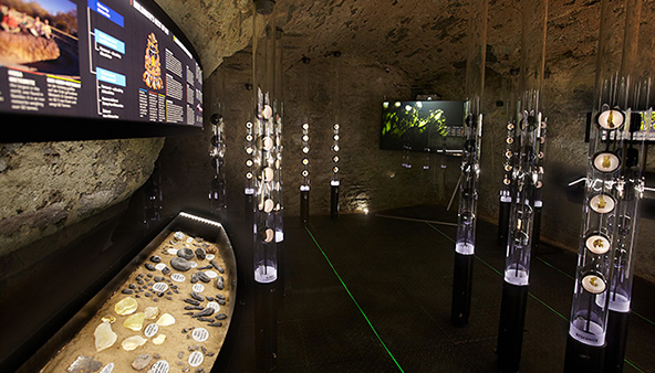 AGT 47: Muzeum vltavinu C. Krumlov